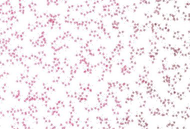 Tekrarlanan çubuklu açık kırmızı vektör şablonu, noktalar. Soyut şablon üzerinde çizgileri olan renkli, parlak bir illüstrasyon. İş ilanınız için akıllı tasarım.