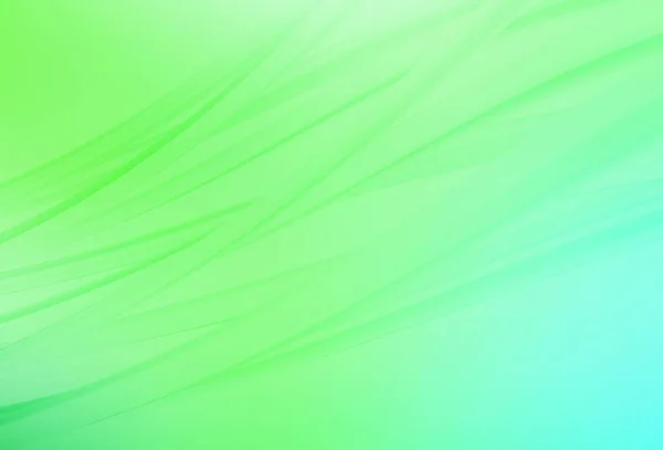 Hellgrüner Vektor Verschwommen Glanz Abstrakten Hintergrund Abstrakte Farbenfrohe Illustration Mit — Stockvektor