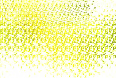 Açık yeşil, diskleri olan sarı vektör dokusu. Renkli su damlaları olan modern soyut çizimler. Reklamlar, broşürler için desen.