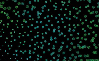 Koyu yeşil vektör doğal sanat eserleri, çiçekler, güller. Beyaz arka planda çiçeklerin dekoratif tasarımı. Tasarımınız için yeni şablon.