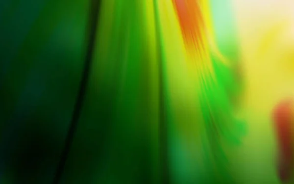 Verde Scuro Vettore Rosso Astratto Sfondo Sfocato Illustrazione Colori Brillante — Vettoriale Stock