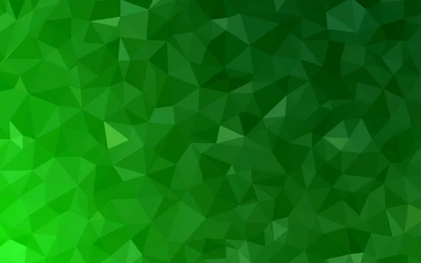 Modèle Polygonal Abstrait Vecteur Vert Clair Illustration Abstraite Colorée Avec — Image vectorielle