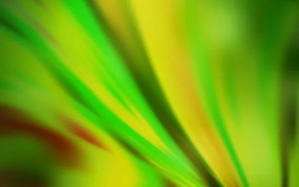 Ljusgrön Vektor Suddig Glans Abstrakt Mall Elegant Ljus Illustration Med — Stock vektor