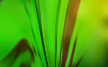 Açık yeşil vektör soyut parlak arkaplanı bulanıklaştırdı. Görüntü stili ve gradyanı olan yeni renkli çizimler. İşiniz için en iyi bulanık tasarım..