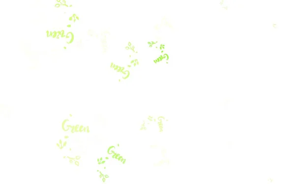 Светло Зеленый Вектор Фоне Листьев Ветвей Современная Абстрактная Иллюстрация Листьями — стоковый вектор