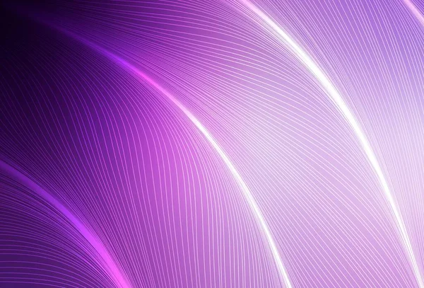 Light Purple Layout Vettoriale Rosa Con Linee Curve Illustrazione Moderna — Vettoriale Stock