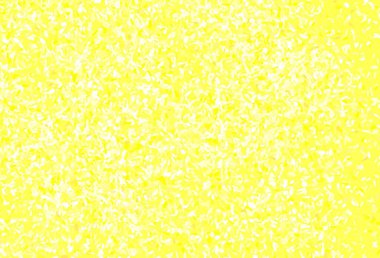 Açık yeşil, sarı vektör, yapraklı zarif duvar kağıdı. Doğal yaprağı olan zarif, parlak bir illüstrasyon. İşiniz için yeni tasarım.