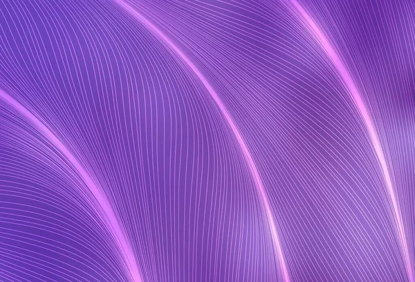 Plantilla Vectorial Light Purple Con Líneas Una Ilustración Abstracta Circunfleja — Vector de stock