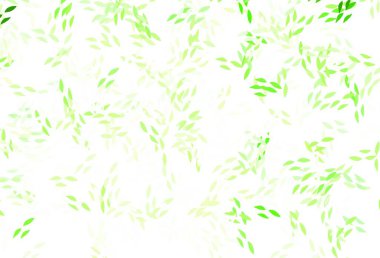 Açık yeşil, sarı vektör yapraklı soyut arkaplan. Doğal yaprağı olan zarif, parlak bir illüstrasyon. Web siteleri ve pankartlar için desenli desen.