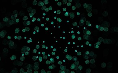 Koyu yeşil vektör karalama arkaplanı, çiçekler, güller. Karalama tarzında çiçekli renkli bir çizim. İşiniz için yeni tasarım.