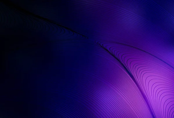 深色紫色矢量背景 有水纹线 一个优雅的明亮的图解与梯度线 小册子 传单的结构 — 图库矢量图片