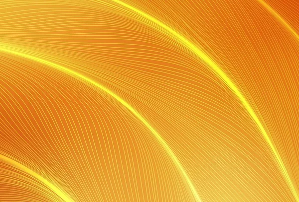 Licht Oranje Vector Achtergrond Met Gebogen Lijnen Kleurrijke Gradiënt Illustratie — Stockvector