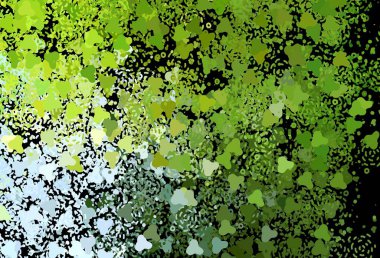 Koyu yeşil, soyut şekilli sarı vektör arkaplan. Rastgele şekillerle soyut tarzda dekoratif tasarım. İşiniz için en iyi akıllı tasarım.