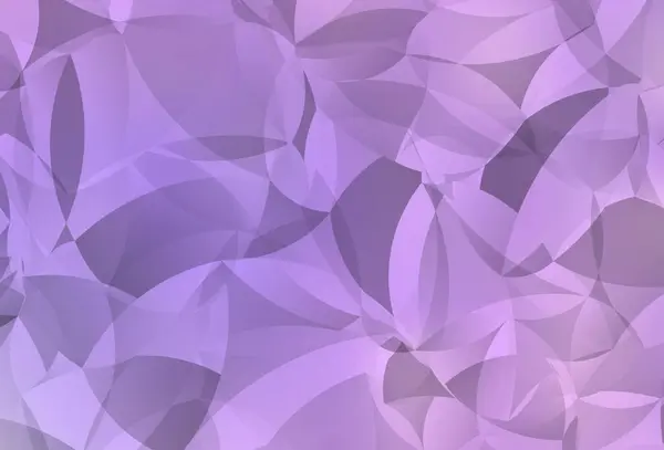 Modèle Polygonal Abstrait Vecteur Violet Clair Illustration Abstraite Polygonale Avec — Image vectorielle
