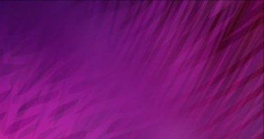 4K döngü koyu mor, pembe soyut çizgili animasyon.
