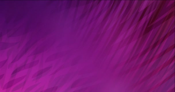 4К петля темно-фиолетовый, розовый абстрактная анимация с линиями. — стоковое видео