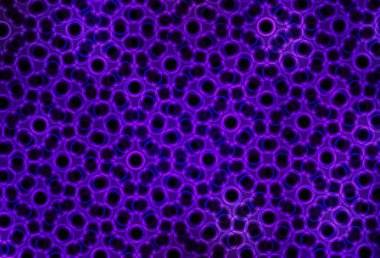 Çember şekilli koyu mor vektör düzeni. Bulanık dekoratif tasarım baloncuklu soyut tarzda. İş ilanınız için tasarım.