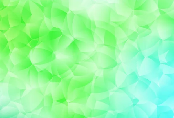 Texture Vectorielle Vert Clair Aux Formes Abstraites Formes Chaotiques Colorées — Image vectorielle