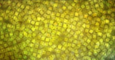 4K döngü koyu yeşil, eşkenar dörtgen ile soyut sarı animasyon.