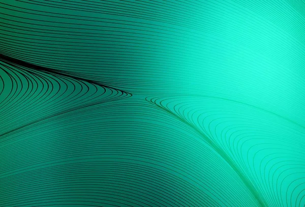 Bükülmüş çizgileri olan açık yeşil vektör arkaplanı. Soyut tarzda gradyan çizgilerle akıllı illüstrasyon. Markan için yeni kompozisyon.