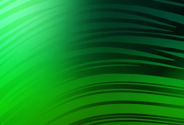 Dark Green Vecteur Flou Brillance Texture Abstraite Illustration Colorée Abstraite — Image vectorielle