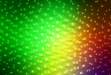 Açık yeşil, daire şekilli kırmızı vektör düzeni. Bulanık dekoratif tasarım baloncuklu soyut tarzda. Güzel web siteleri için desen.