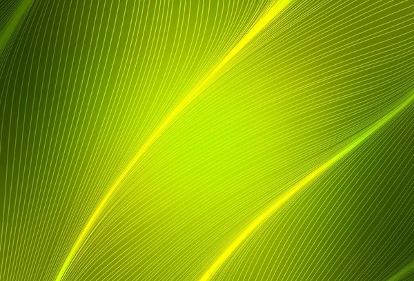 Modèle Vectoriel Vert Clair Jaune Avec Lignes Courbes Une Toute — Image vectorielle