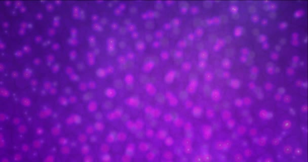 4K looping dark purple, pink video footage with circles. — Stock Video