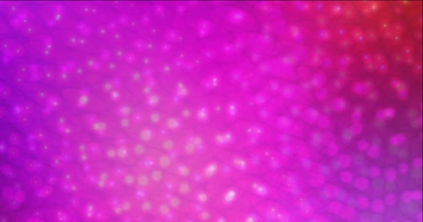 4K looping φως ροζ, κόκκινο βίντεο με σχήματα κύκλων. — Αρχείο Βίντεο