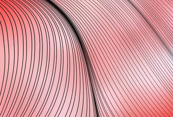 Світло Червоне Векторне Компонування Вигнутими Лініями Кругова Абстрактна Ілюстрація Градієнтом — стоковий вектор