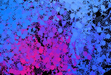 Koyu pembe, kaotik şekilli mavi vektör şablonu. Soyut gradyan şekilli basit renkli çizimler. Kartvizitiniz için modern tasarım.