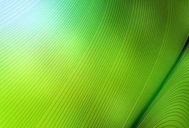 Açık yeşil, sarı çizgili vektör arkaplan. Değişken çizgileri olan renkli soyut çizimler. İş tasarımınız için şablon.