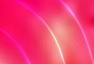 Açık Kırmızı, kıvrımlı çizgileri olan sarı vektör arkaplan. Alnında çizgiler olan soyut bir çizim. Tasarımınız için desen.