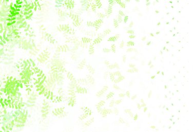 Açık yeşil, yapraklı sarı vektör zarif desen. Soyut şablondaki karalamalarla dekoratif illüstrasyon. Marka kitabınız için yeni şablon.