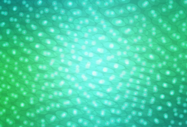 Hellgrünes Vektormuster Mit Kugeln Schöne Farbige Illustration Mit Verschwommenen Kreisen — Stockvektor