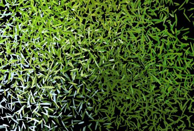 Koyu yeşil, renkli çizgileri olan sarı vektör dokusu. Bulanık dekoratif tasarım basit bir şekilde çizgilerle. Güzel geçmişiniz için şablon.