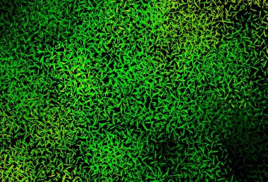 Koyu yeşil, sarı vektör arkaplan ve düz çizgiler. Soyut şablon üzerinde çizgileri olan renkli, parlak bir illüstrasyon. Reklamlar, posterler, afişler için desen.