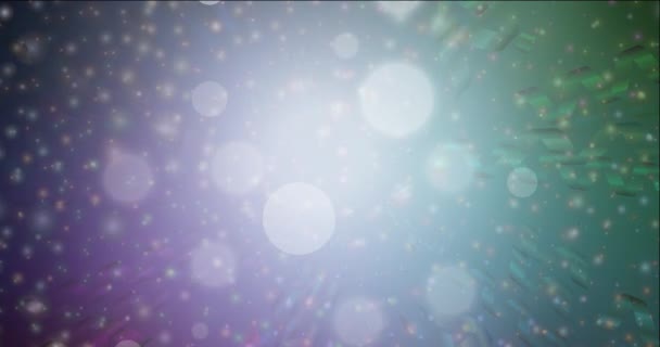 Images multicolores sombres en boucle 4K dans le style Joyeux Noël. — Video