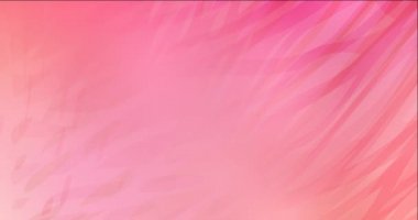 4K açık pembe, dalgalı sarı video örneği.