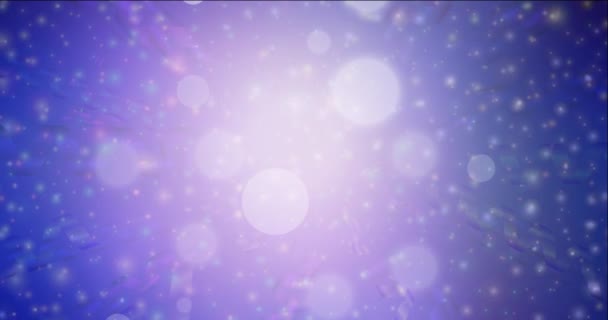4Kループダークピンク,青い流れるビデオでクリスマススタイル. — ストック動画