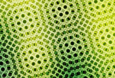 Açık yeşil, baloncuklu sarı vektör arkaplan. Renkli su damlaları olan modern soyut çizimler. Marka kitabınız için yeni şablon.