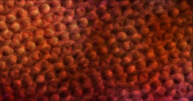 4K benekli koyu kırmızı video örneği döngüsü.