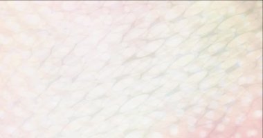 4K açık pembe, daire şekilli sarı video.