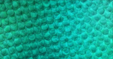 Açık yeşil disklerle 4K döngüsü.