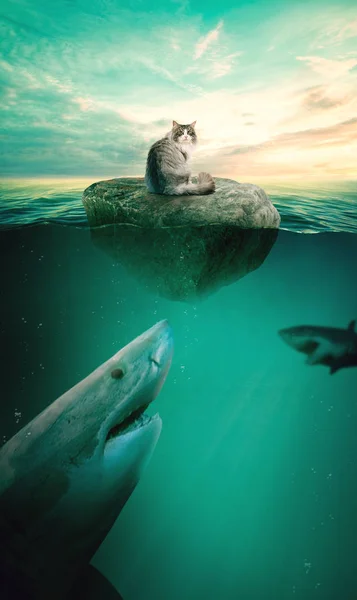 Güneş ışınları ile sualtı arka plan