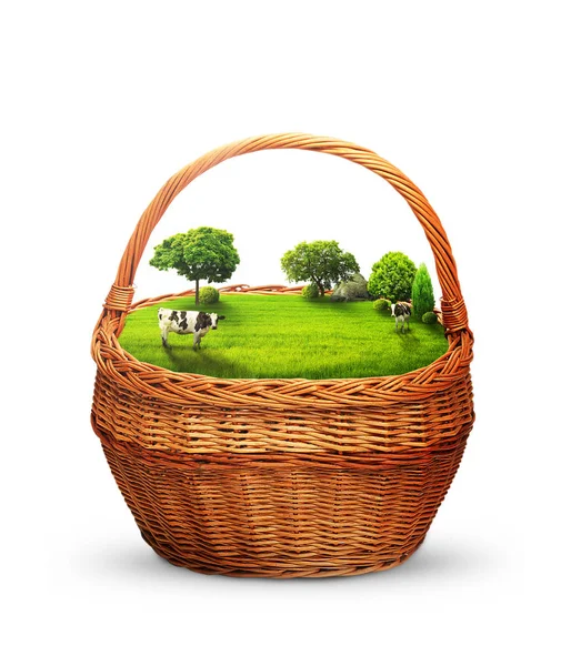 Glade ve yeşil çayır sepet. İnekler çayırda. Süt. Ağaç ve yeşil çayır üzerinde ineklerin. 3D çizim. Beyaz arka plan. İzole