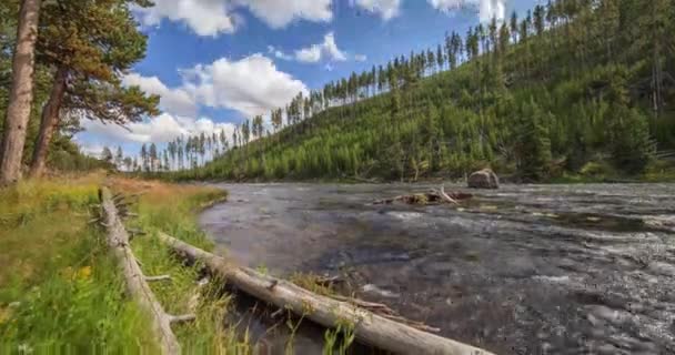 Timelapse of Yellowstone River, Yellowstone National Park, Estados Unidos da América . — Vídeo de Stock