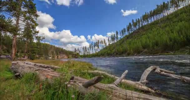 Timelapse of Yellowstone River, Yellowstone National Park, United States . — стоковое видео