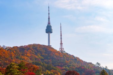 Seul'deki Namsan Kulesi'nin Sonbaharı,Güney Kore