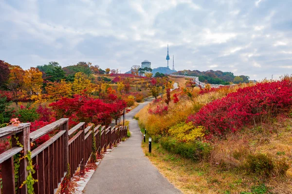 Outono da Torre Namsan em Seul, South Kore — Fotografia de Stock